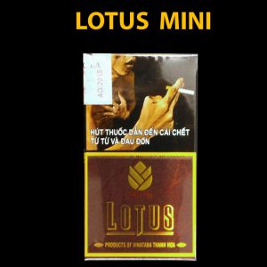 Mini lotus